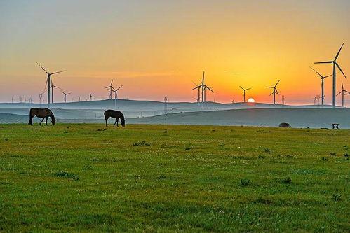 草原夜色美在线视频,沉浸式体验大美草原的浪漫之夜