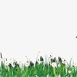 野花网在线视频观看量,观看量飙升的野花世界