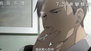 鸣鸟不飞2在线视频,命运交响曲，爱与救赎的旋律