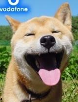 hnd853在线视频,揭秘现代通信技术前沿