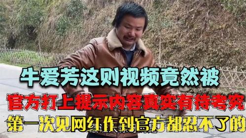 牛爱在线视频观看,畅游视频世界的精彩瞬间