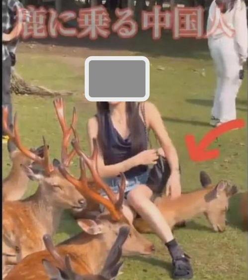 小鹿不在线视频