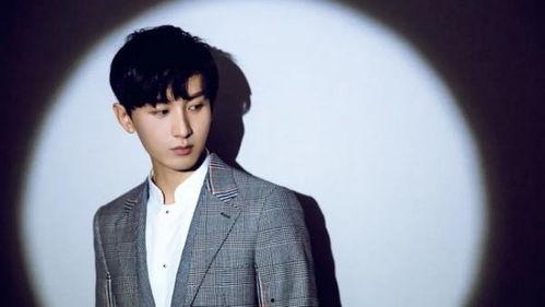 成毅在线视频,魅力四溢的表演艺术之旅